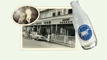 Mumbai’s Iconic Parsi Dairy Farm Faces License Suspension