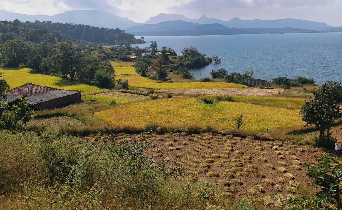 Budget Escapes Near Mumbai: 5 Weekend Getaways Under Rs 5,000