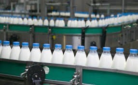 Nigeria’s Dairy Dilemma: Rethinking Milk Production On World Milk Day