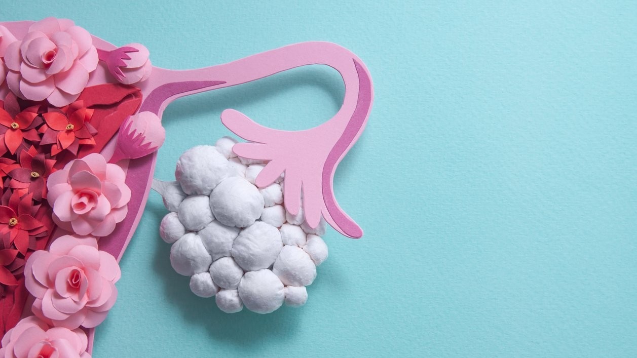 Is PMOS the 'Diabetes of the Ovaries'? Expert Warns of India's Fertility Crisis