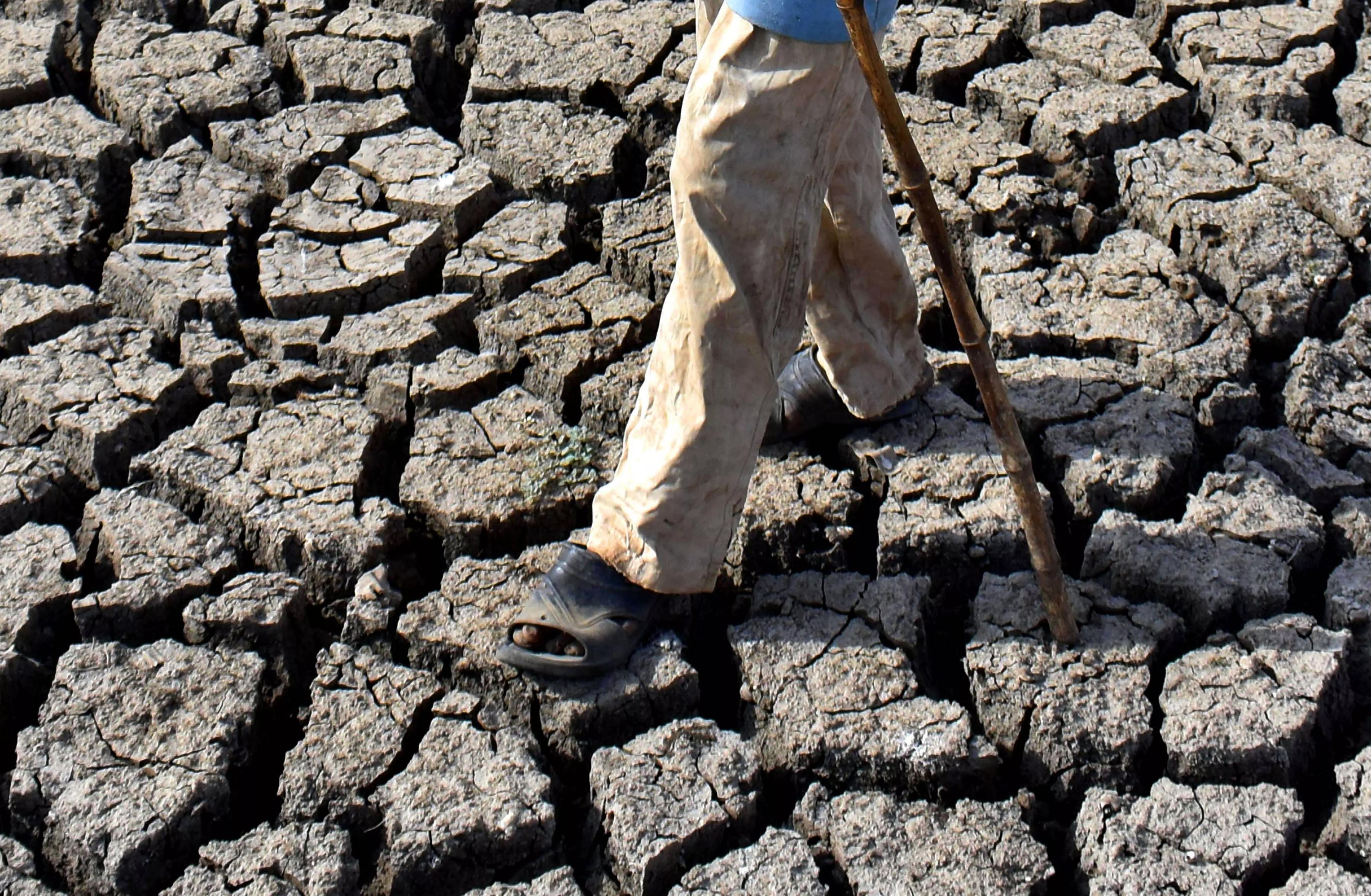 Sowing in Shadows: India’s Driest June in a Century Threatens Kharif