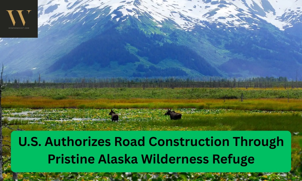 Balancing Act: U.S. Approves Road Amid Alaska Wilderness Conservation Debate