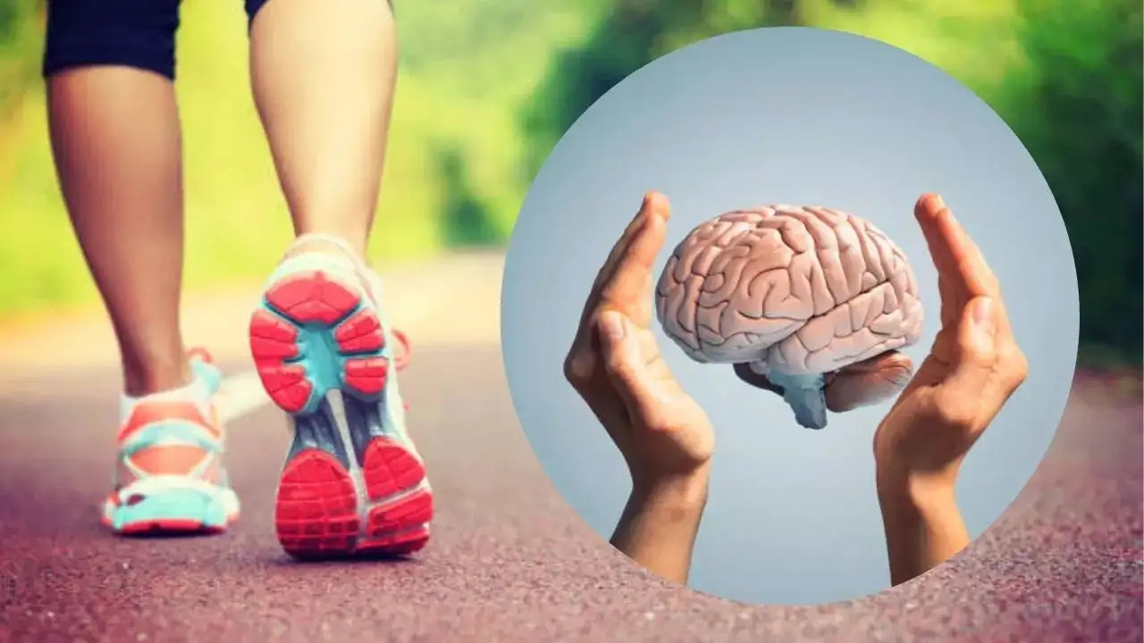 Tiny Steps, Big Gains: What Happens to Your Brain After 10 vs 60 Minutes of Walking