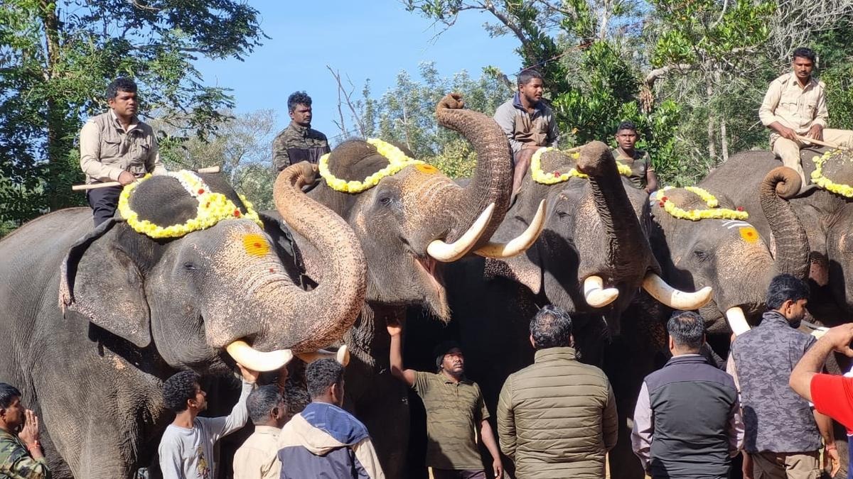 Epic Elephant Transfer: Karnataka’s Kumkis March into Andhra’s History Books