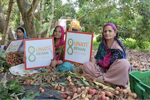 Punjab Litchi Makes Global Debut with First-Ever Export to Oman