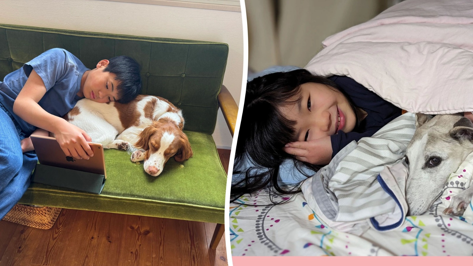 Unleashed Happiness: The Jaw-Dropping Power of Pups on Teen Brains