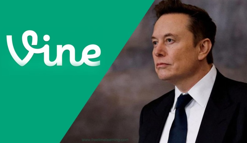 Six Seconds, Infinite Possibilities: Elon Musk Revives Vine with an AI Twist