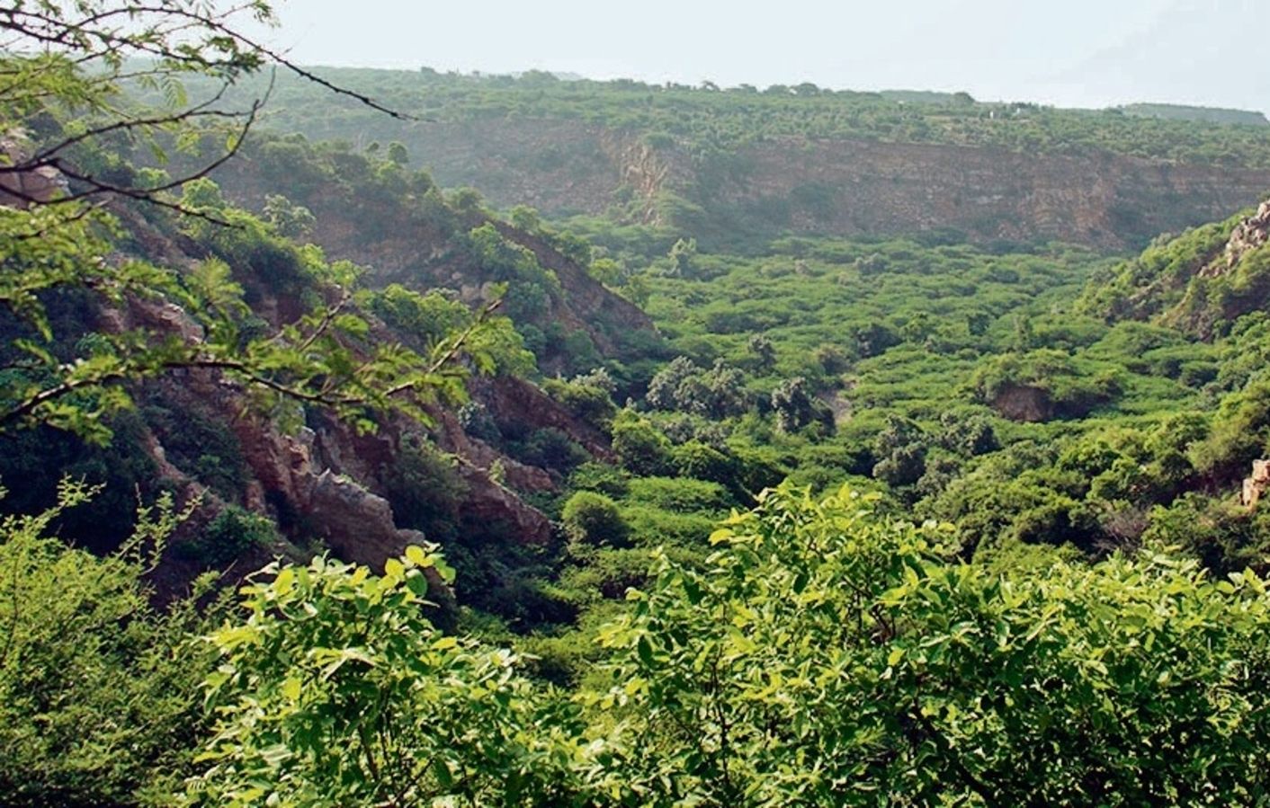 Can India’s Carbon-Sink Target Survive Without a Radical Land-Accounting Revolution?