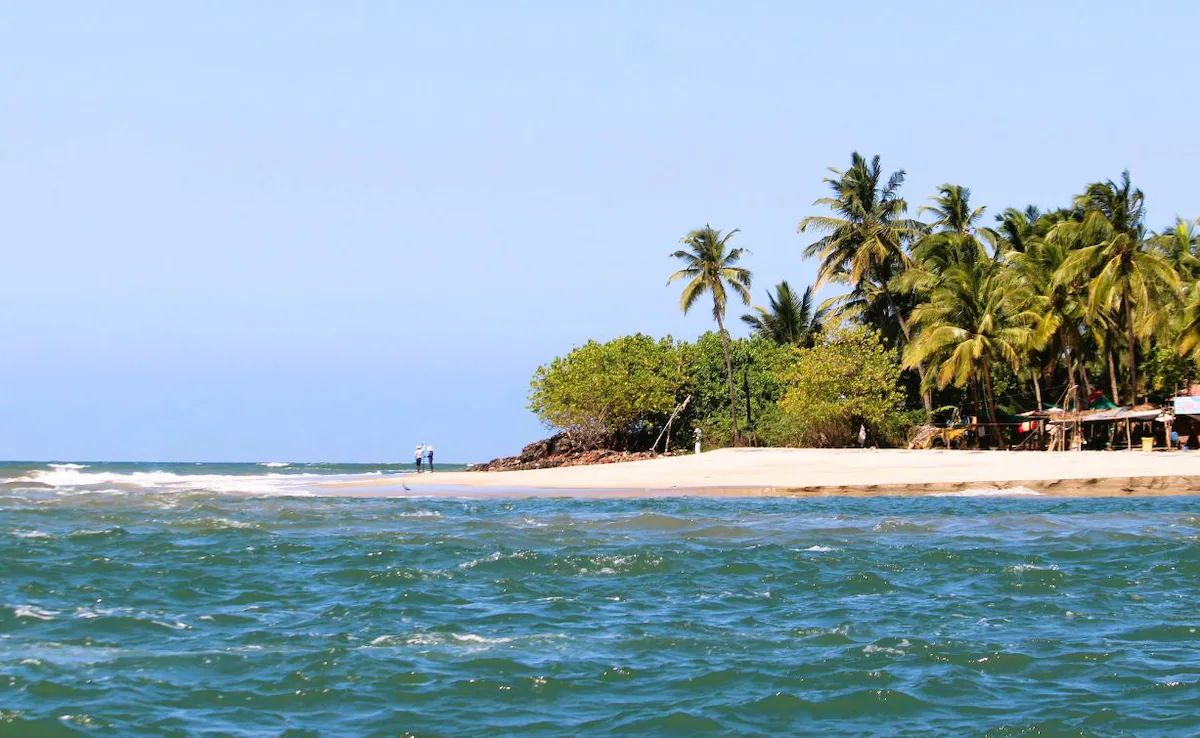 Paradise in Palms: Discover India’s ‘Coconut Island’ and Its Backwater Bliss