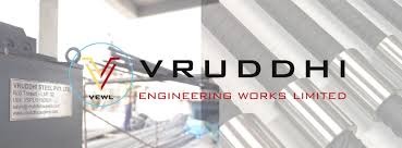 Vruddhi Engineering Works Ltd Reappoints Bindi Kunal Mehta as Managing Director