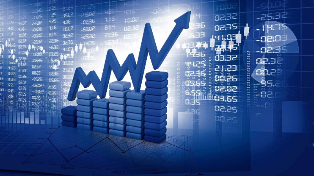 Jab They Met: 12 Indian Stocks Shine Bright at 2024’s Close