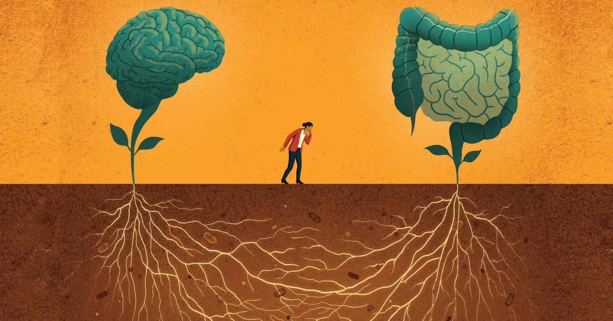 Digest This: The Surprising Science Linking Your Stomach to Your Sanity