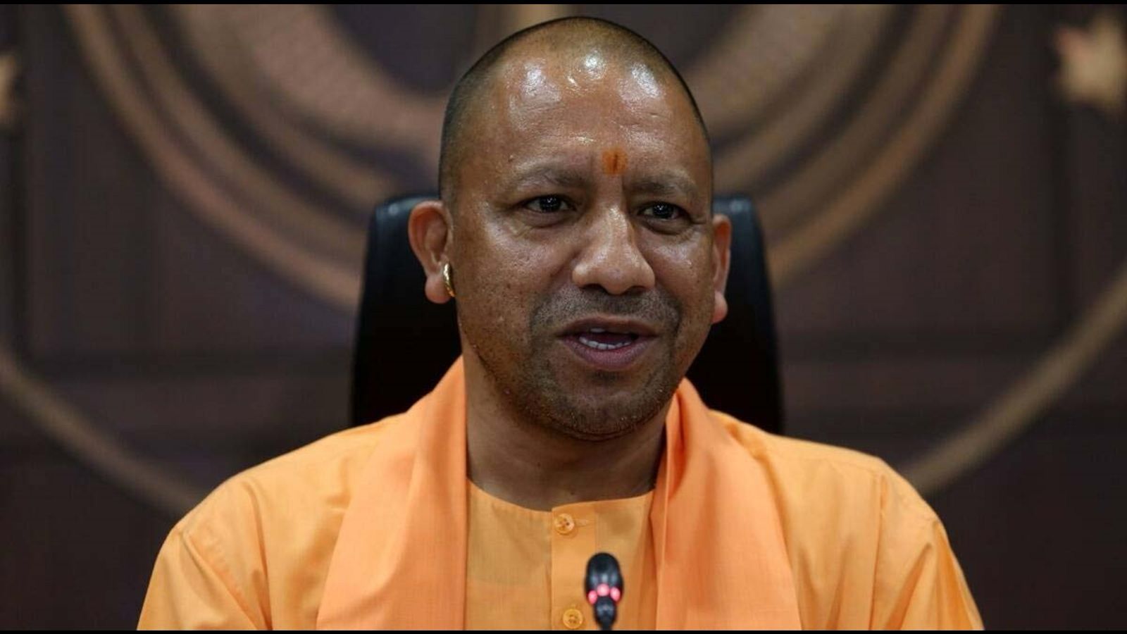 Age or Agility? Yogi’s Cabinet Re-Jig Could Be All About the Right Fit!