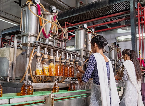 BCL Industries Posts ₹306.3 Million Profit In June Quarter, Revenue Climbs To ₹8.2 Billion