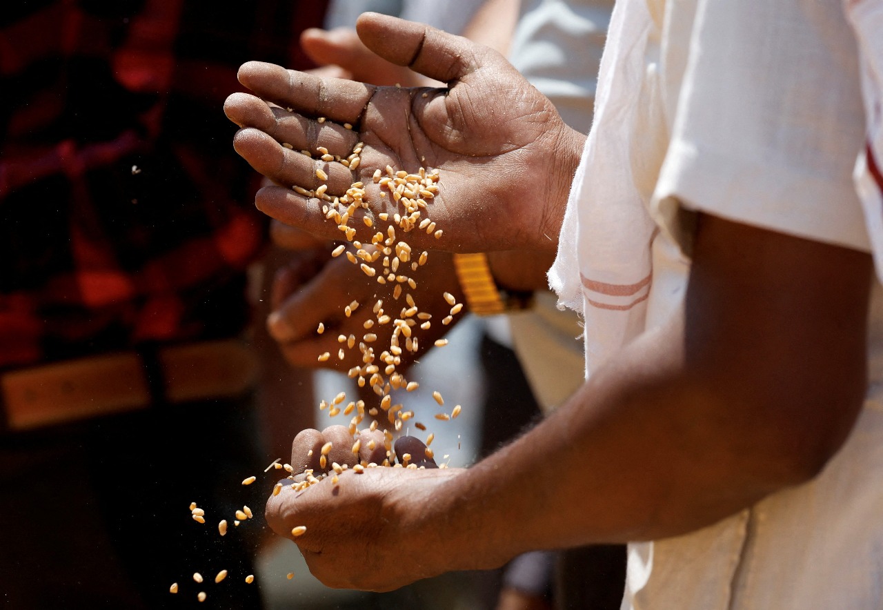 India Approves ₹379.52 Billion Subsidy For Winter Crops To Support Farmers