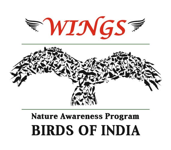 Mumbai's Premier Birdwatching Extravaganza Returns: WINGS 2025 Set to Soar on February 16