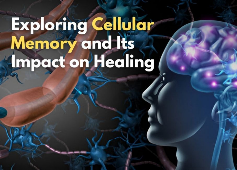 Your Cells Can Remember - Could Your Entire Body Be Conscious?