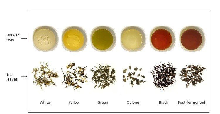 Tea Renaissance 2025: Bold Flavors, Fresh Trends, and Timeless Traditions