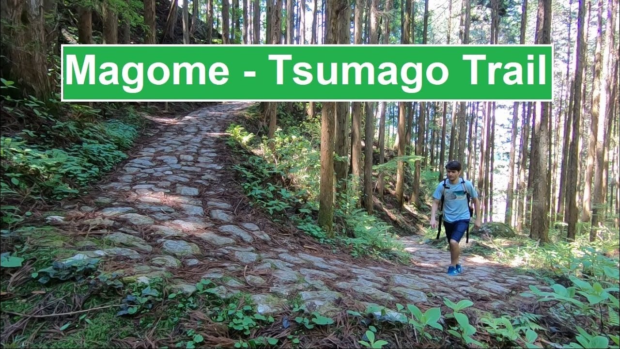 Uncover Japan’s Hidden Treasures: Where Culture Meets Calm in Charming Towns