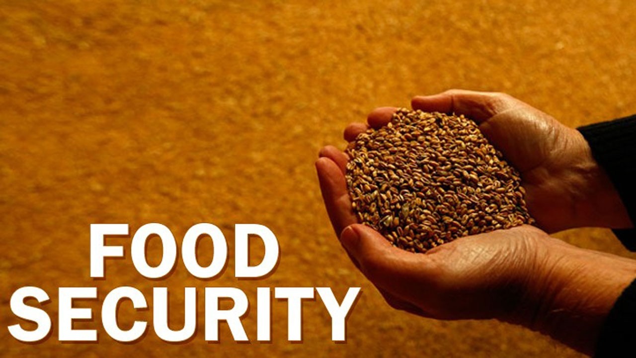 Asia's Food Security: Challenges and Initiatives Amid a Growing Crisis