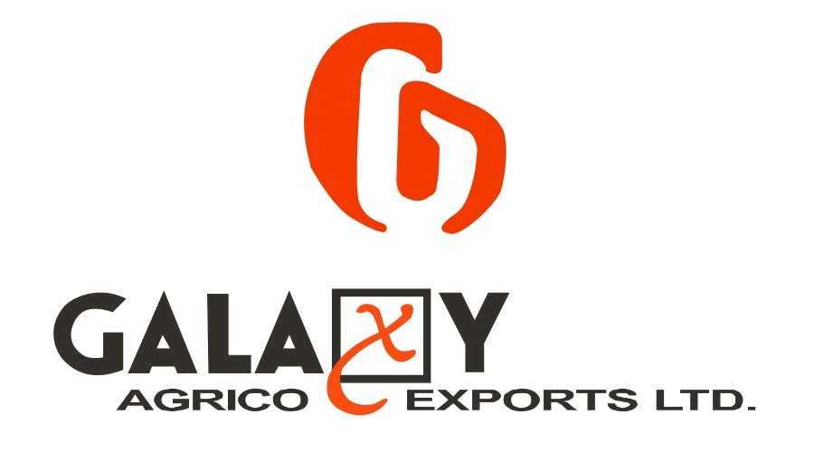Galaxy Agrico Exports Strikes ₹9.25 Crore Deal with Forgex Rings, Shifting Gears from Bearings to Bold New Ventures