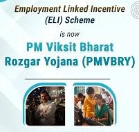 PM Viksit Rojgar Yojana Set to Revive Tea Sector with Job Surge and Social Security Boost