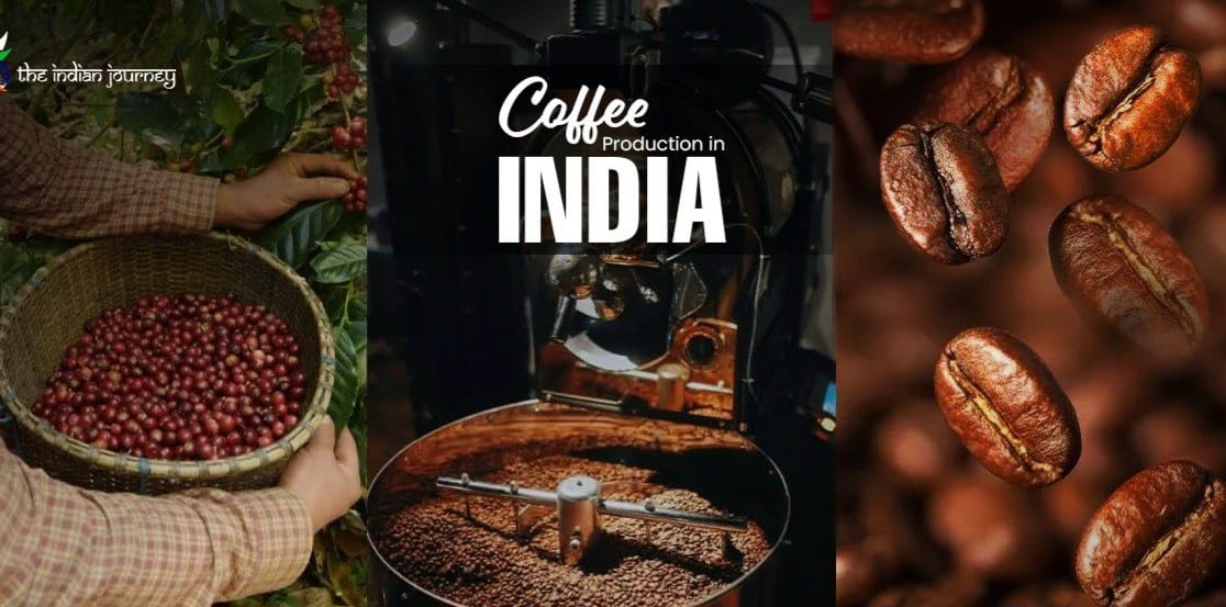 India Moves to Become World's Seventh-Largest Coffee Producer