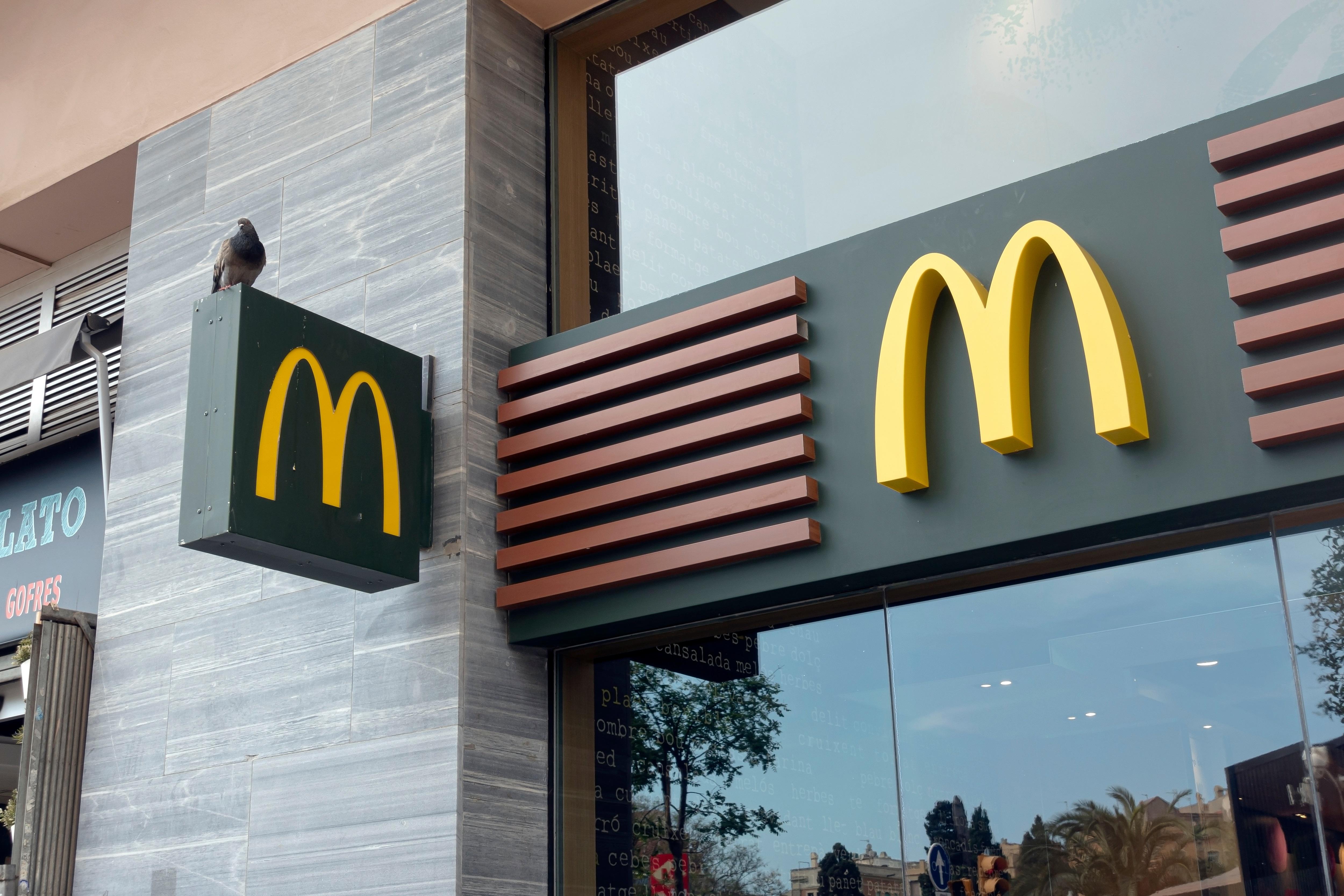 Westlife Foodworld Narrows Quarterly Loss, Signals Recovery Momentum for McDonald's India Operations