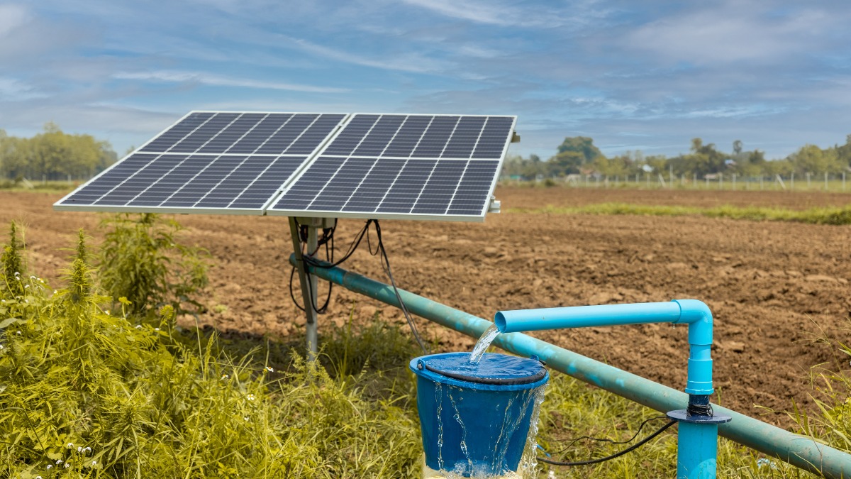 Alpex Solar Secures ₹3.78 Billion Order, Strengthening Renewable Energy Portfolio