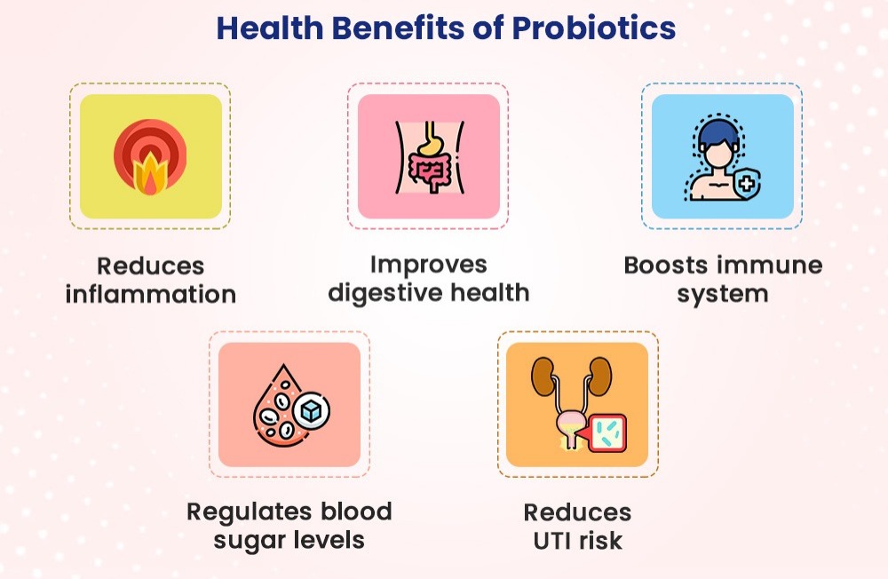 The Gut Revolution: How Probiotics Fight Inflammation from Within