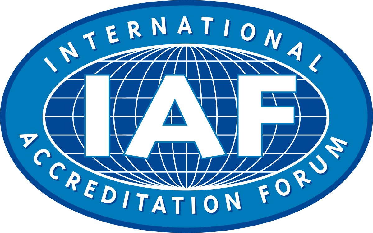 IAF Explores Strategic Partnerships to Boost Domestic Defense Production