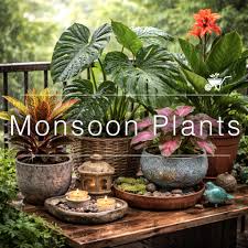 Thriving Gardens: Best Monsoon Plants for Indian Homes