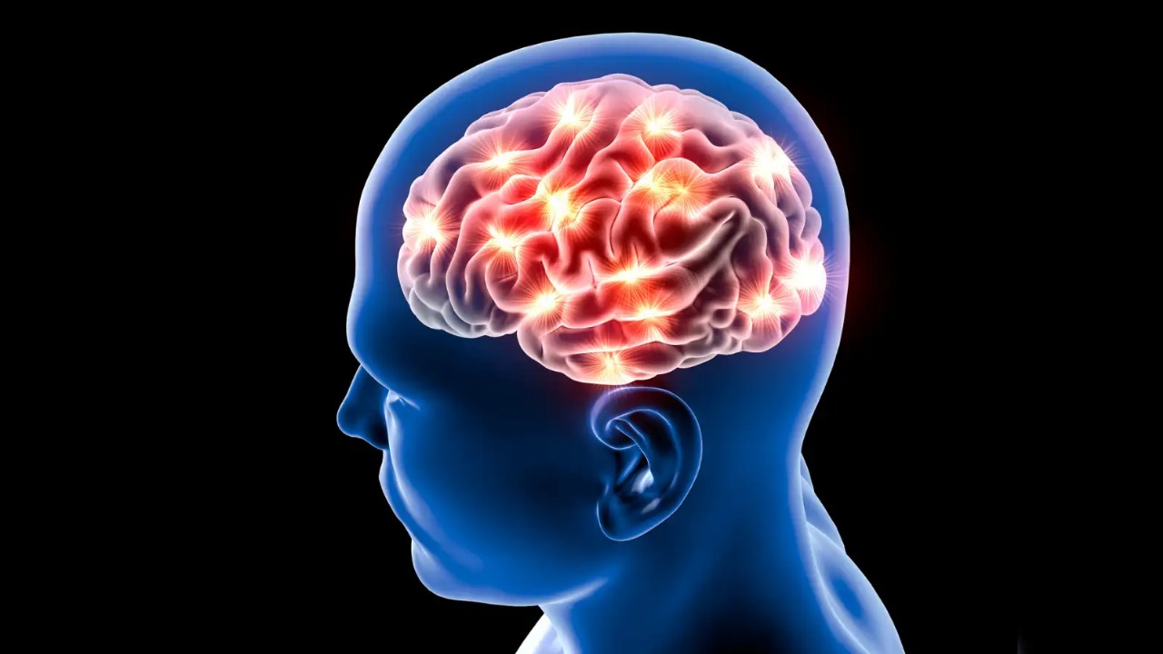 From Dwarka to Delhi: Brain Health Clinics Set to Redefine Neurological Care