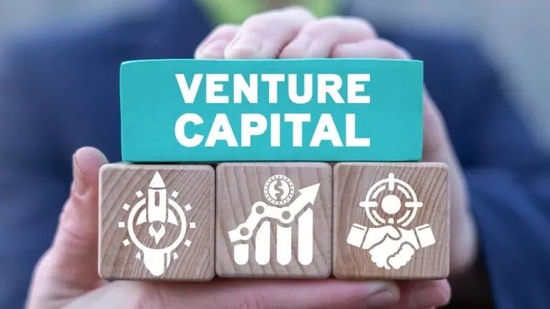 VC Landscape Evolves: Key Trends Shaping LP Investments in 2025