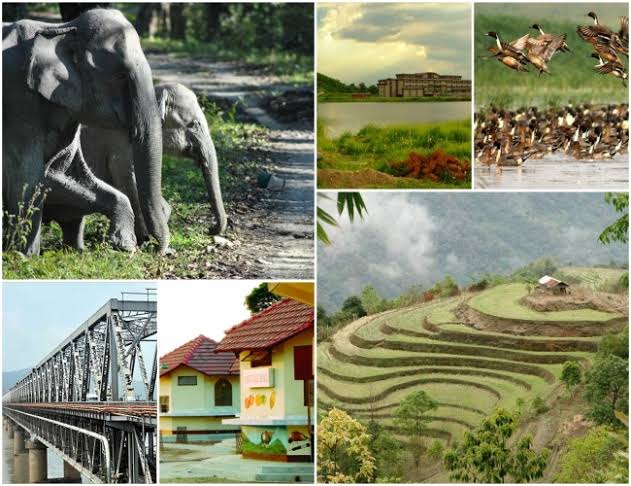 Travel, Transformed: Guwahati’s Wetlands Lead India’s Eco-Tourism Renaissance