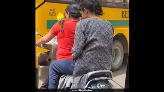 Fast & Feather-ious: Bengaluru Woman’s Parrot Ride Flies High on the Internet!