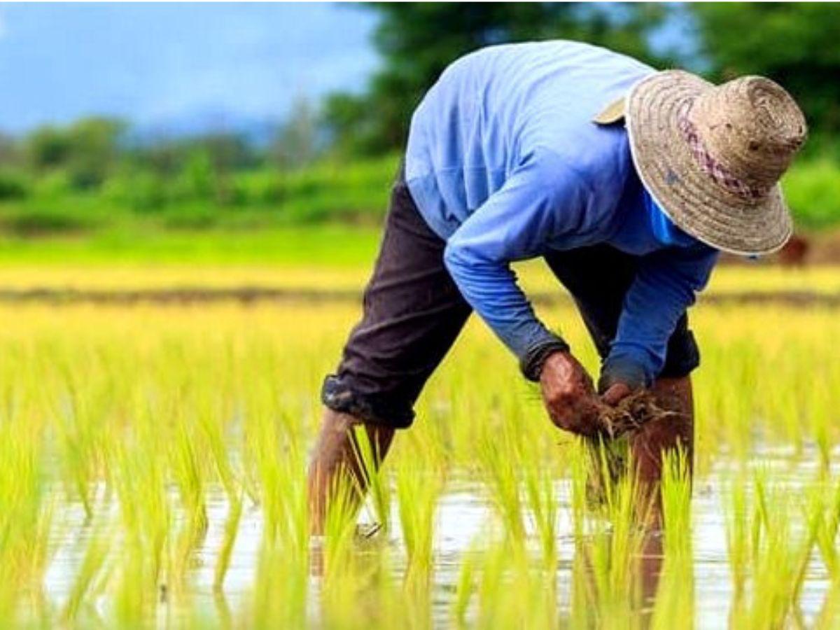 Farmers' Interests Fully Protected in India-UK Trade Deal: Shivraj Singh Chouhan Highlights Key Benefits and Safeguards