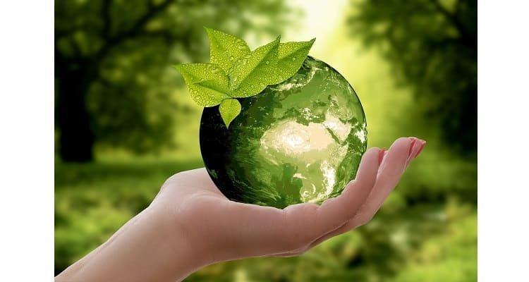 Lupin's Green Leap: Pharma Giant Clinches Top CDP Ratings in Climate and Water