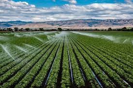 Mahabir Prasad Rungta Reappointed As Chairman And MD, Reinforces Strategic Continuity At Rungta Irrigation