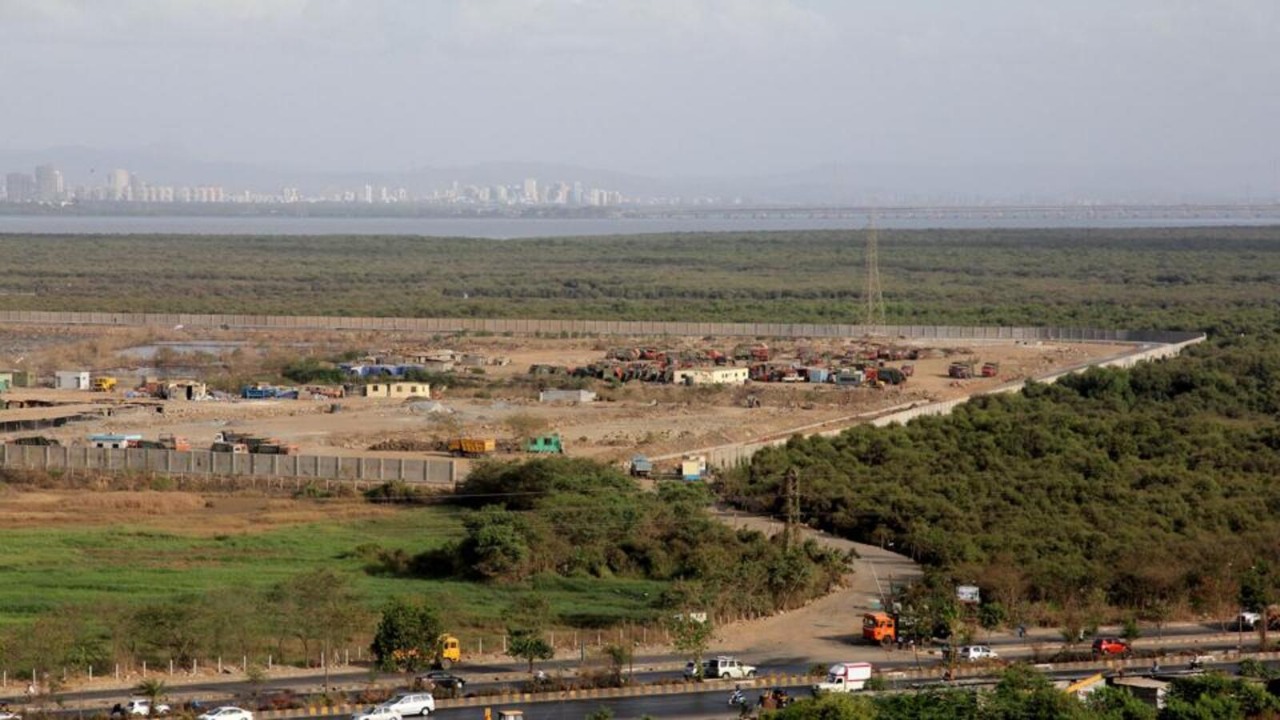 Mumbai’s Green Revolution: Court Gives BMC 90 Days to Restore Mangrove Magic at Kanjurmarg