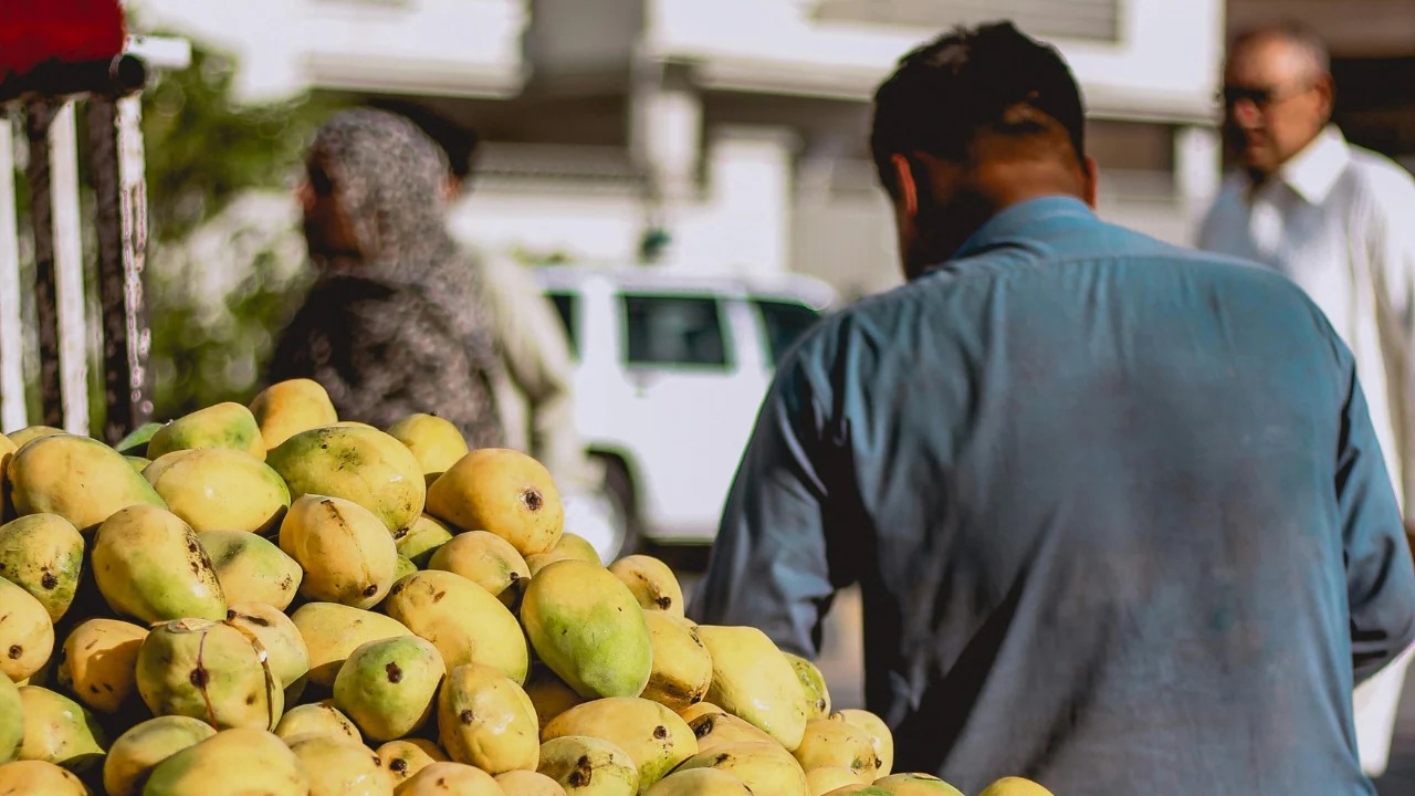 Malihabad’s Sweet Secret: The Uttar Pradesh Town That Rules As Mango Capital Of The World