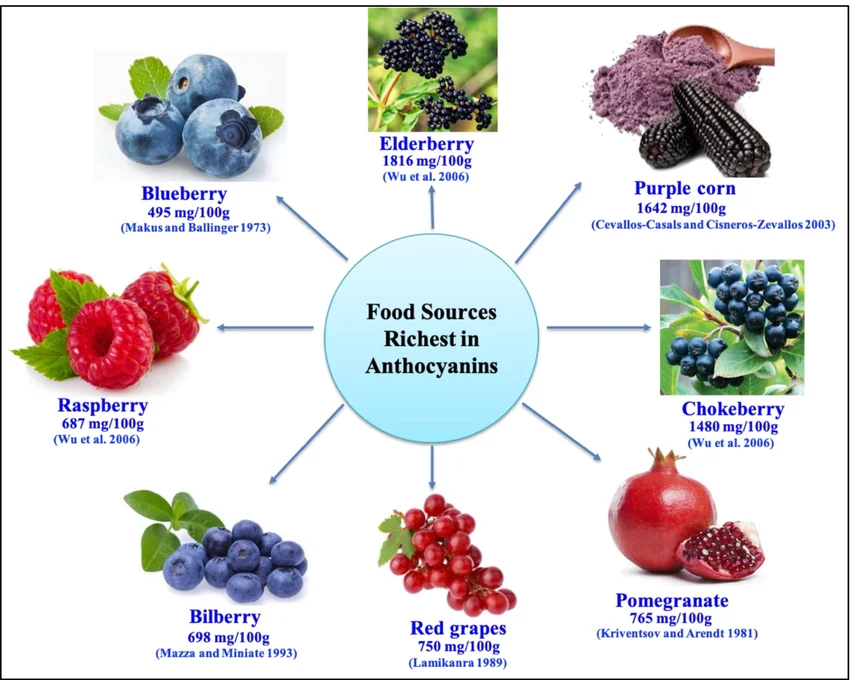 New Research Points to a Surprising Benefit of Anthocyanin-Rich Foods