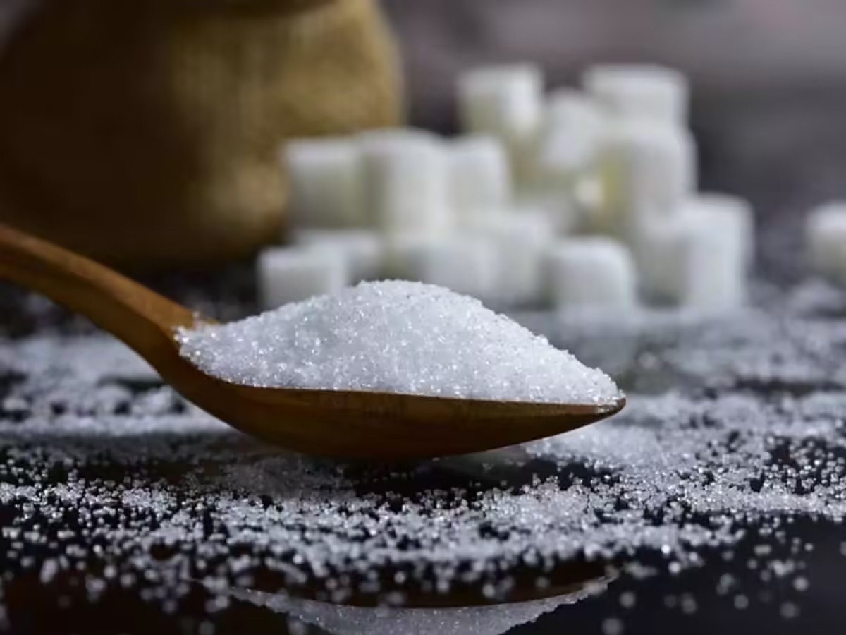 India’s 2025/26 Sugar Output Forecast Cut To 28.5–29 Million Tonnes
