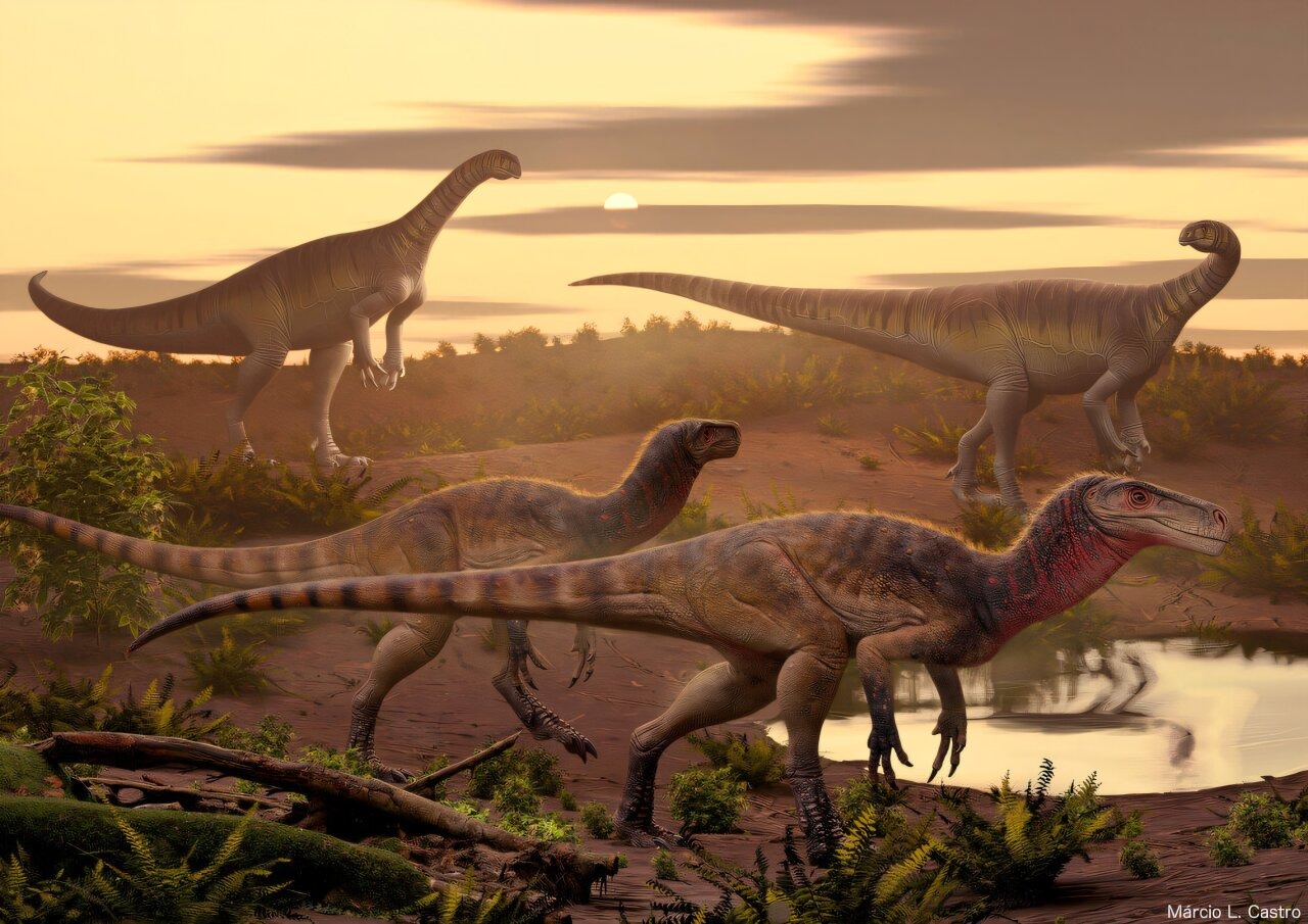 Dino-Mite Discovery: India Unveils World’s Oldest Giants