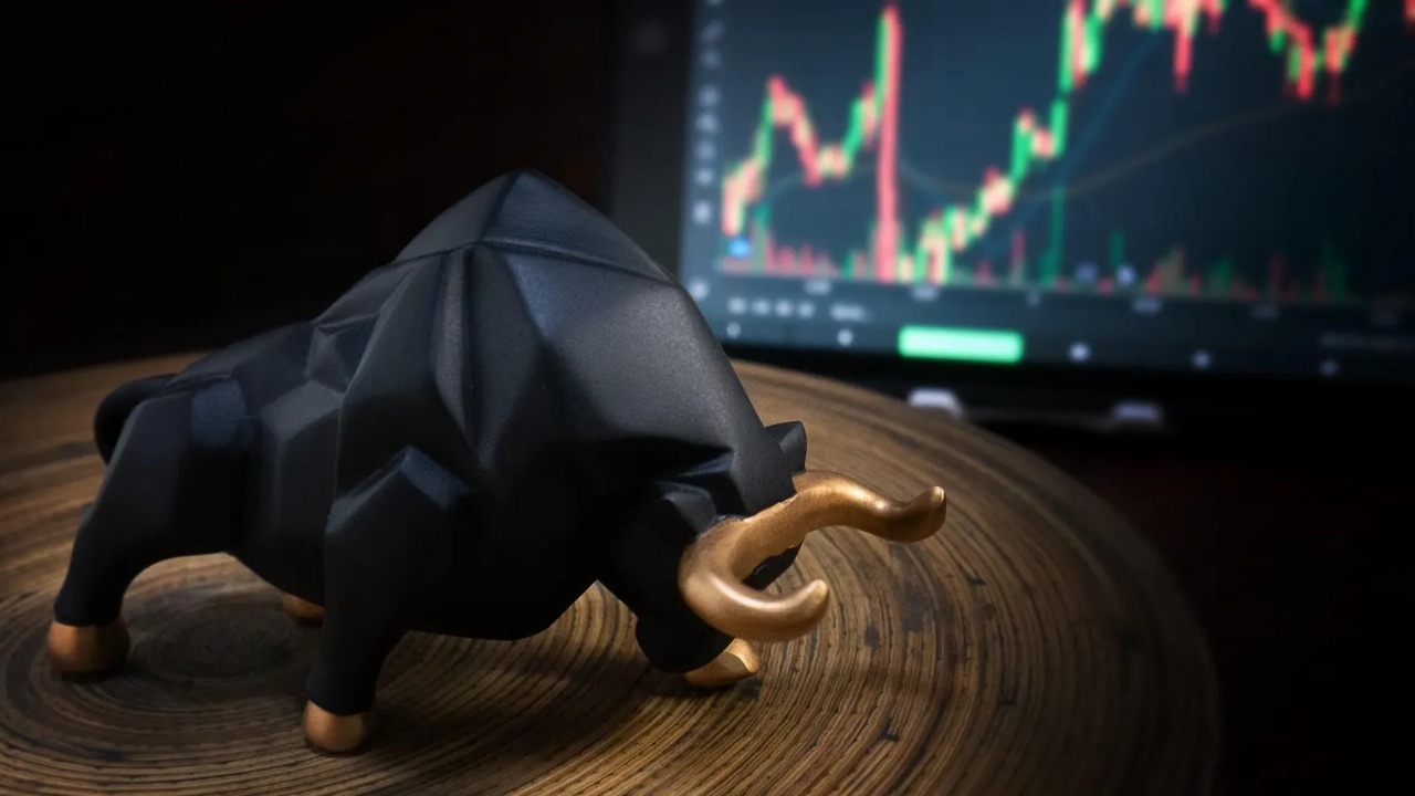Beyond the Bull Run: India's Market Reality Check