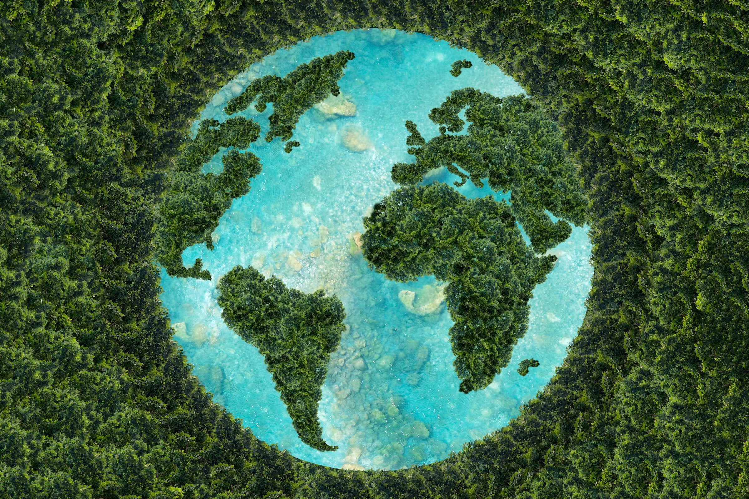 Harmony in Balance: Carbon’s Impact on Creating a Cleaner Earth