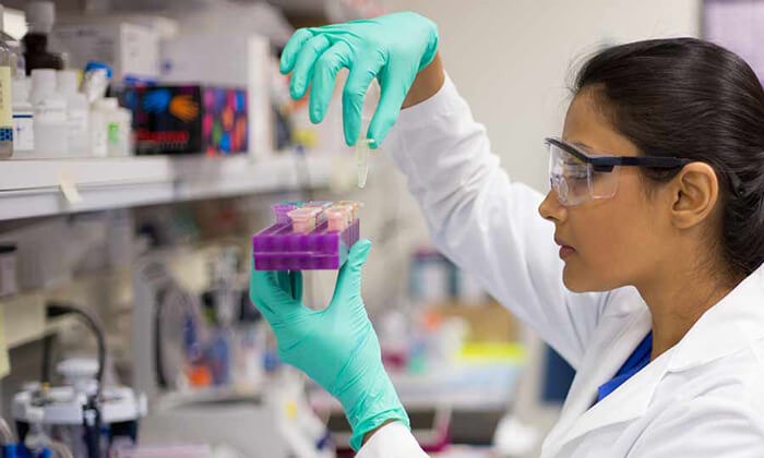 Sunlight Breakthrough: Adelaide Scientists Crack PFAS Pollution with Light-Activated Catalyst