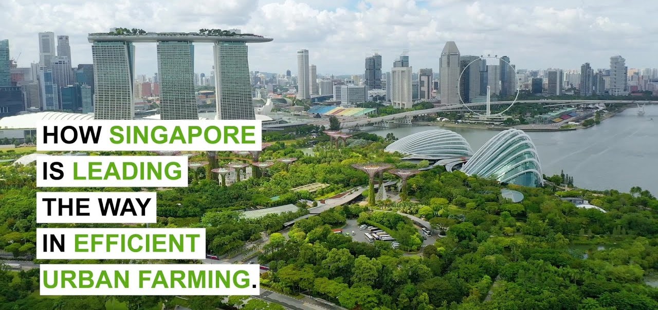 The Future of Food is Vertical: Singapore’s Skyscraper Farms Lead the Way