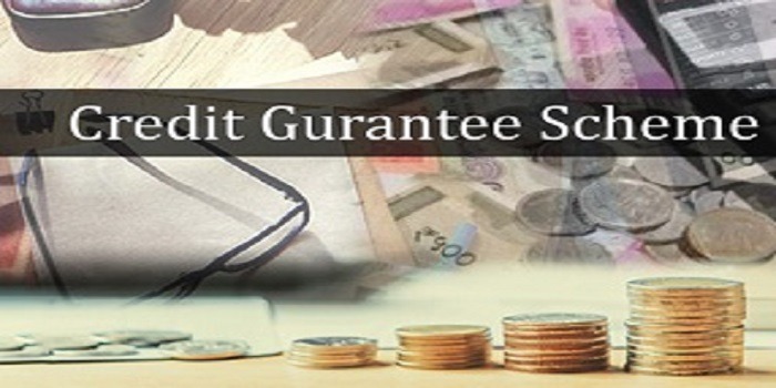 Credit Guarantee Scheme Announced For Microfinance Loans
