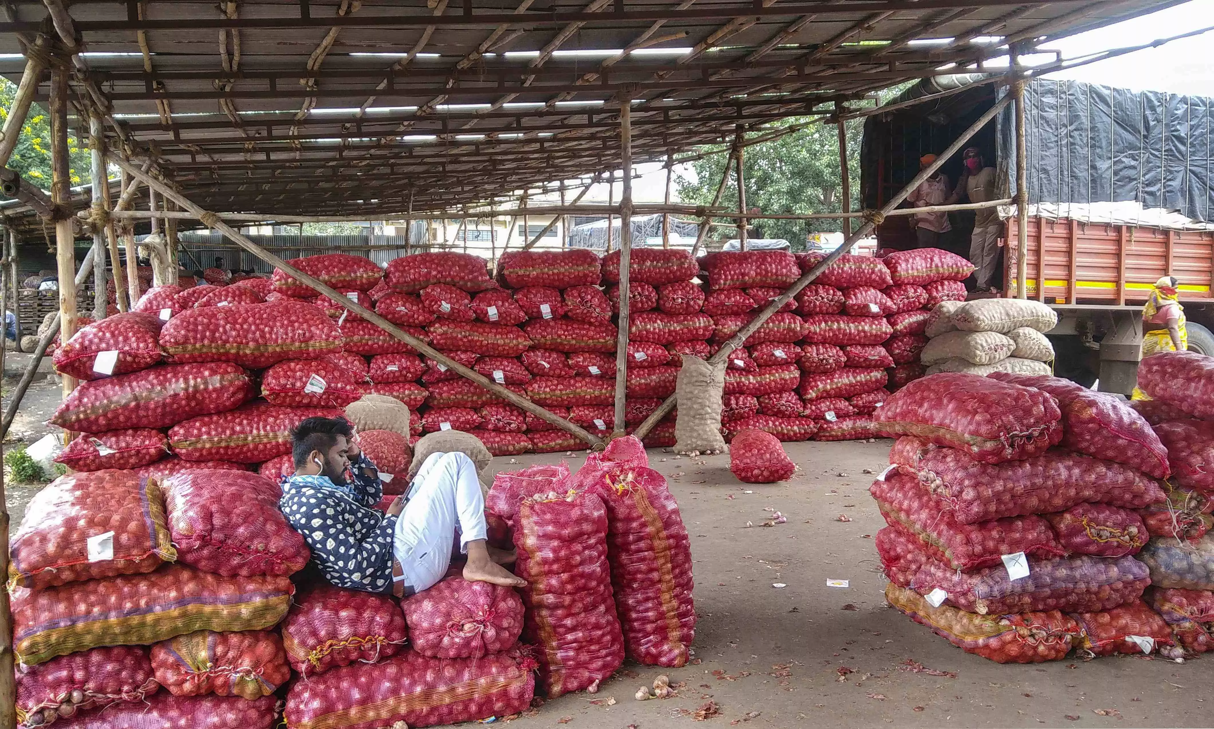 Onion Exports Unshackled: Duty Lifted, Exports Soar, Farmers Rejoice!
